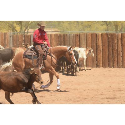 Image showing  Contoured Performance Saddle Pad, 33 in. x 38 in., 36001-6162-323