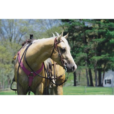 Image showing  Ecoluxe Bamboo Breast Collar