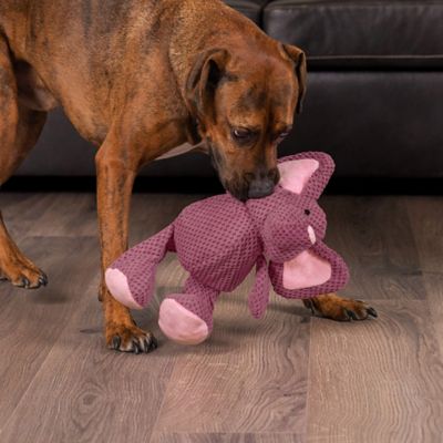 Image showing  Checkers Elephant Squeaky Plush Dog Toy with Chew Guard Technology