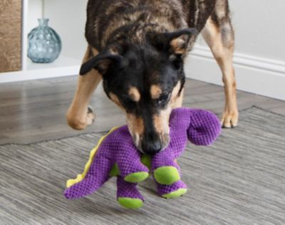 Image showing  Checkers Dinos Bruto Squeaky Plush Dog Toy with Chew Guard Technology
