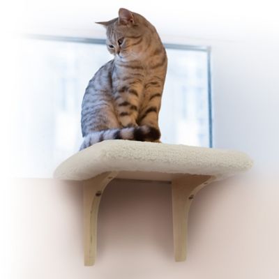 Image showing  Paw Perch Padded Indoor Cat Perch