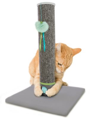 Image showing  Playful Post Carpet Cat Scratching Post with Track Toy Base, 20.75 in.