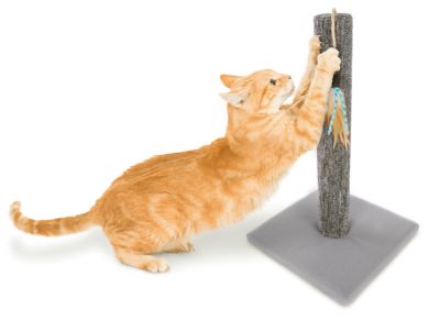 Image showing  Simply Scratch Interactive Carpet Cat Scratch Post with Feather Cat Toy