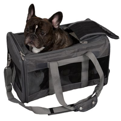 Sherpa original best sale deluxe carrier