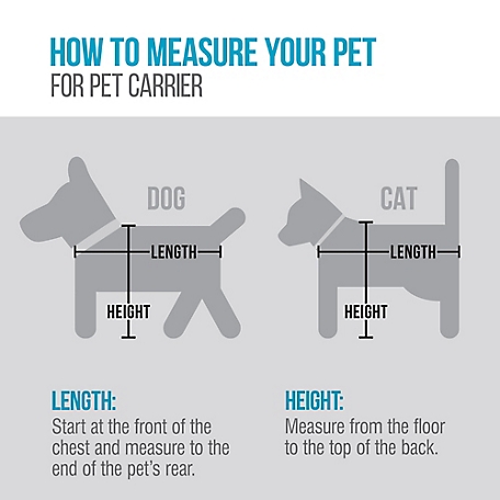 Vendor Labelling Pet-in-a-bag Puppy & Carrier Set, 65234