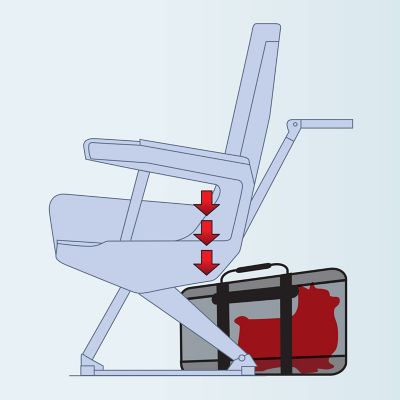 Image showing 6 th Sherpa Airline-Approved Element Polyester Travel Pet Carrier with Stay Clean Technology