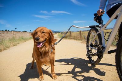 Image showing 9 th Sherpa Cycleash TPR Universal Bicycle Dog Leash
