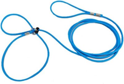 Piggy Poo and Crew Adjustable Mini Pig Harness and Leash, Blue