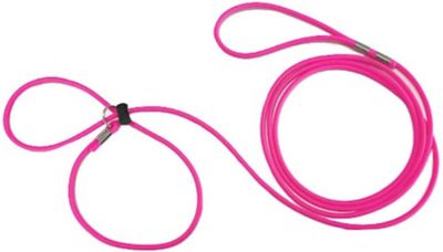 Image showing  Adjustable Mini Pig Harness and Leash