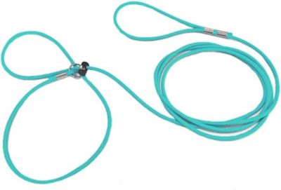 Piggy Poo and Crew Adjustable Mini Pig Harness and Leash, Teal