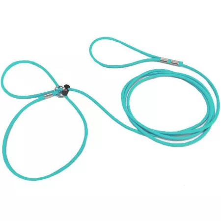 Piggy Poo and Crew Adjustable Harness and Leash for Mini Pig 12 Feet Teal Dog Basic Leashes