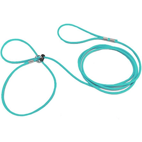 Piggy Poo and Crew Adjustable Mini Pig Harness and Leash, Teal