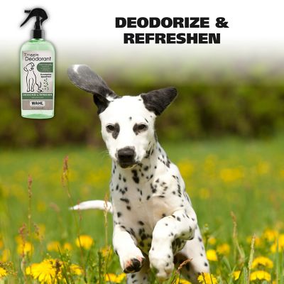 Image showing  Doggie Deodorant, Eucalyptus Spearmint, 8 oz.