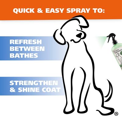 Image showing 6 th Wahl Doggie Deodorant, Eucalyptus Spearmint, 8 oz.