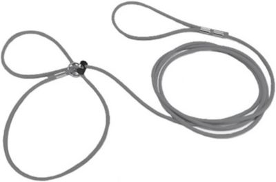 Piggy Poo and Crew Adjustable Mini Pig Harness and Leash, Gray