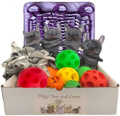 Piggy Poo and Crew Pet Activity Ball Box, Purple