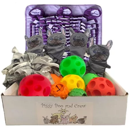 Piggy Poo and Crew Pet Activity Ball Box Purple Pet Toy Boxes