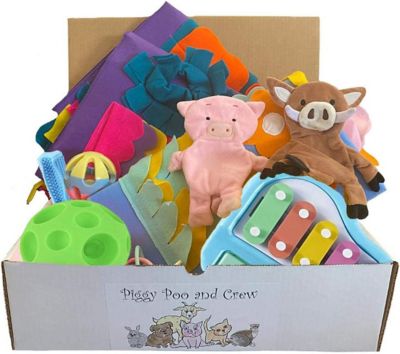 Piggy Poo and Crew Pig Box - Pet Box - Bundle of Toys Gift Box