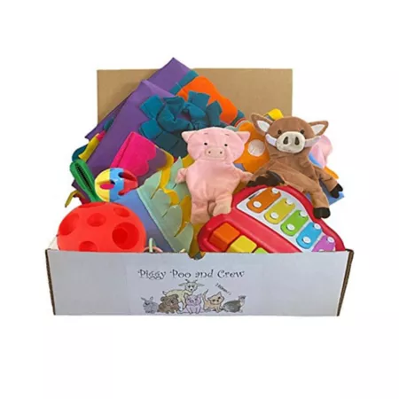 Piggy Poo and Crew Pig Box Pet Box Bundle of Toys Gift Box Pet Toy Boxes