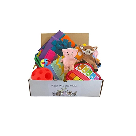 Piggy Poo and Crew Pig Box - Pet Box - Bundle of Toys Gift Box
