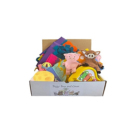 Piggy Poo and Crew Pig Box - Pet Box