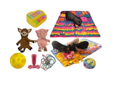 Image showing 1 th Piggy Poo and Crew Pig Box - Pet Box - Bundle of Toys Gift Box