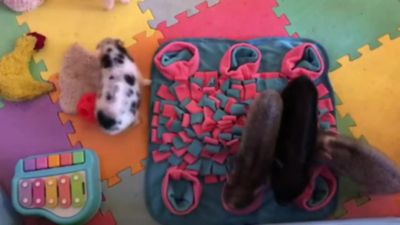 Image showing  Snuffle Activity Mat for Dogs, Pink/Blue