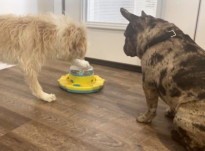 Image showing  Treat Popper Puzzle Game