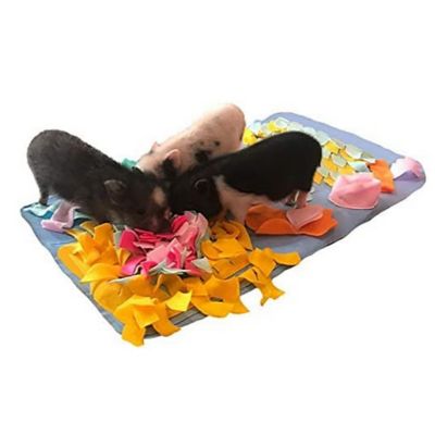 Image showing  Dog Snuffle Mat, Blue