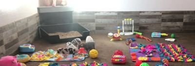 Image showing  Dog Snuffle Mat, Blue