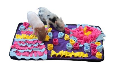 Image showing  Activity Dog Snuffle Mat