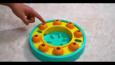 Image showing  Slow Feeder Puzzle Game