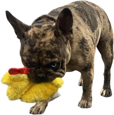 Image showing  Chicken and Egg Paper Crinkle Squeaker Dog Toys, 2-Pack