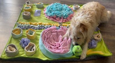 Image showing 5 th Piggy Poo and Crew Double-Bowl Dog Snuffle Mat with Treat Ball and Squeakers