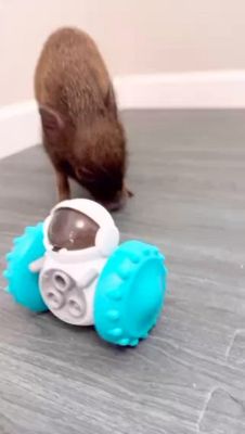 Image showing  Robot Treat-Dispensing Push Dog Toy