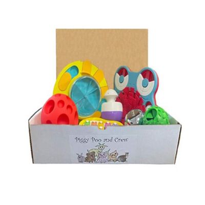 Piggy Poo and Crew Piggy Poo and Crew Pet Game Box, Mini Pig Box, Dog Box, Gift Box