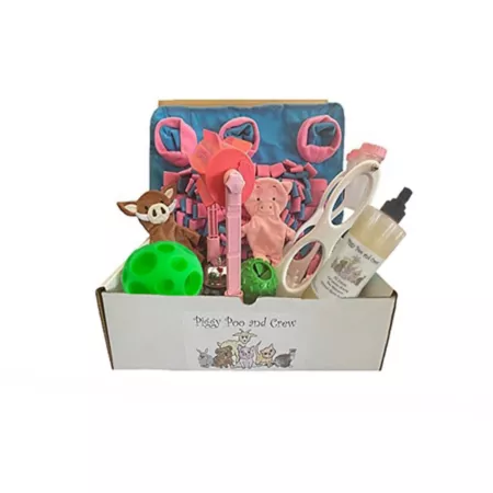 Piggy Poo and Crew Pet Pack for New Owner Pet Toy Boxes