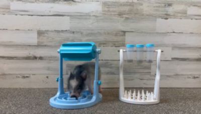 Image showing  Slow Feeder Game Combo Pack