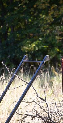 Image showing 7 th Timber Tuff 3-Point Brush Grapple