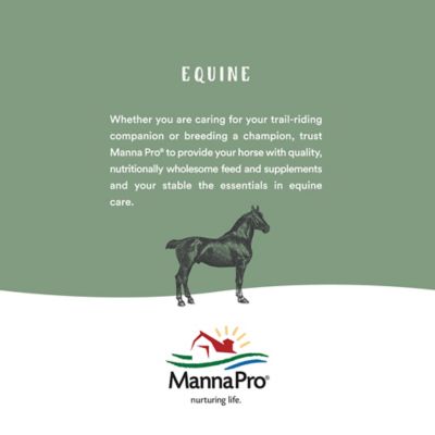 Image showing  Natures Force Equine Face and Body Wipes, 40 ct.
