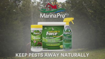 Image showing  Natures Force Equine Face and Body Wipes, 40 ct.