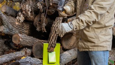 Image showing  Kindling Splitter with Mounting Base