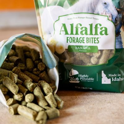 Image showing  Alfalfa Forage Bites Banana Flavor Horse Treat, 5 lb.