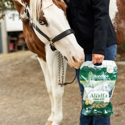 Image showing 7 th Standlee Alfalfa Forage Bites Banana Flavor Horse Treat, 5 lb.