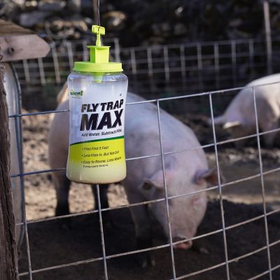 Image showing  Fly Trap Max