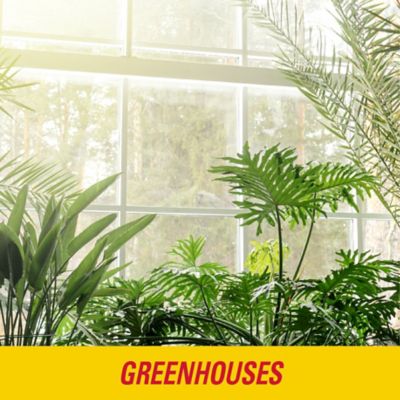 Image showing  Fly Line Refill, 1,000 ft.