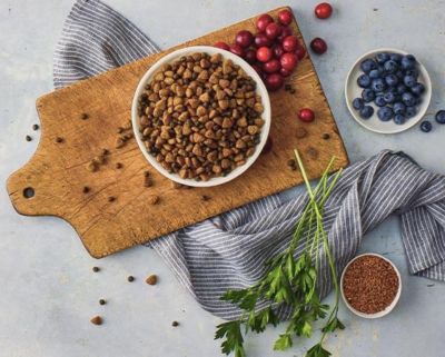 Image showing  Adult Salmon Recipe Dry Dog Food