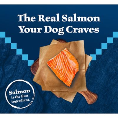 Image showing  Adult High-Protein Natural Salmon Recipe Dry Dog Food