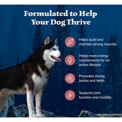 Image showing  Adult High-Protein Natural Salmon Recipe Dry Dog Food