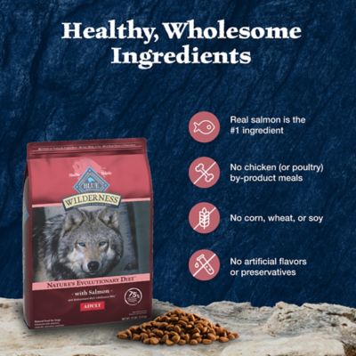 Image showing 5 th Blue Buffalo Wilderness Adult High-Protein Natural Salmon Recipe Dry Dog Food